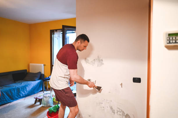 Nederland, TX Mold Removal Company